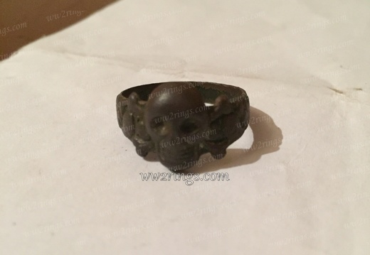 Brass TK skull ring - snakes, oak leaves 01